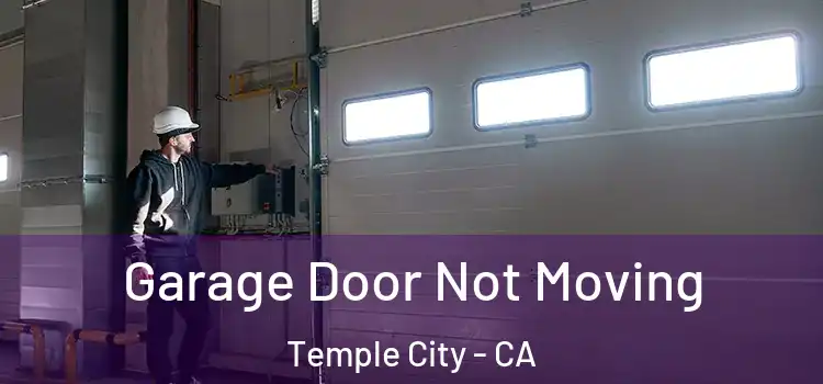  Garage Door Not Moving Temple City - CA