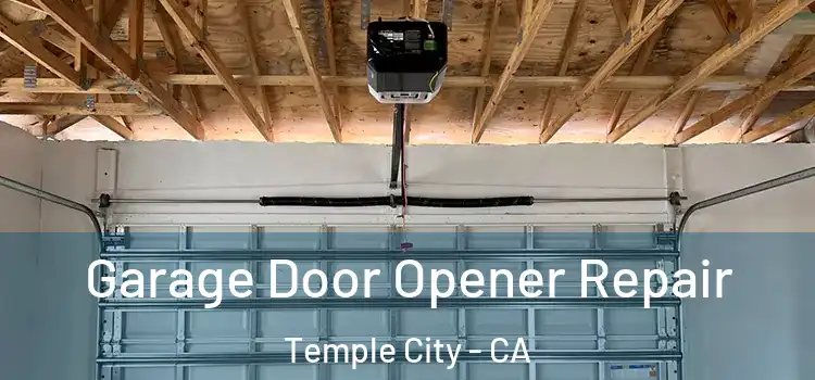  Garage Door Opener Repair Temple City - CA