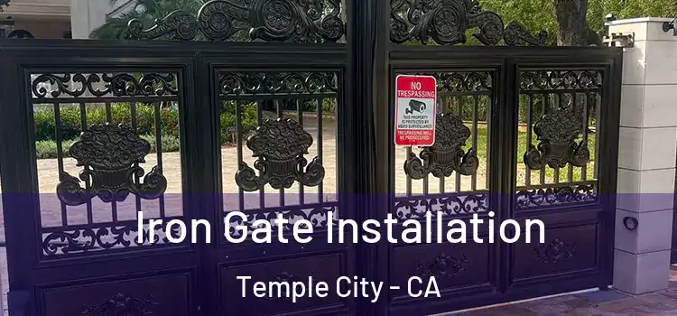 Iron Gate Installation Temple City - CA